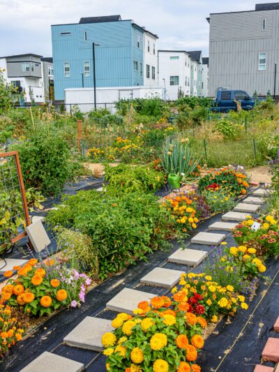 Community Gardens