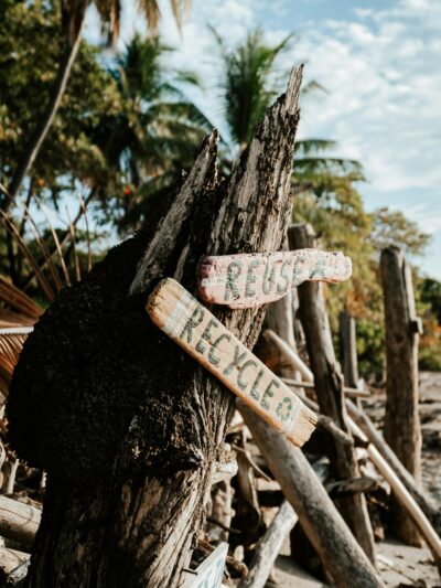 Reuse & Recycle