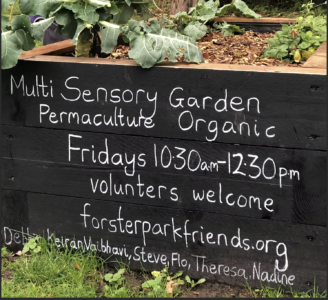Forster Memorial Park (Sensory Garden)