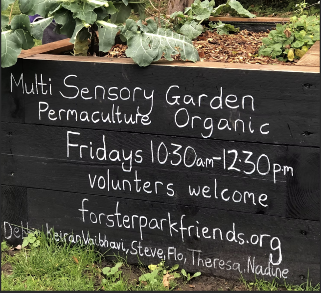 Forster Memorial Park (Sensory Garden)