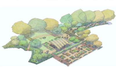 University Hospital Lewisham Wellbeing Garden